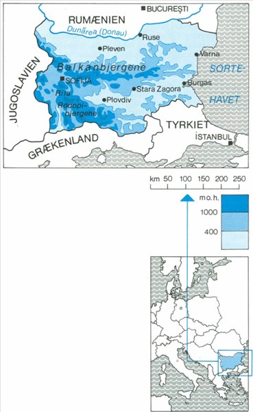 Artikel billede