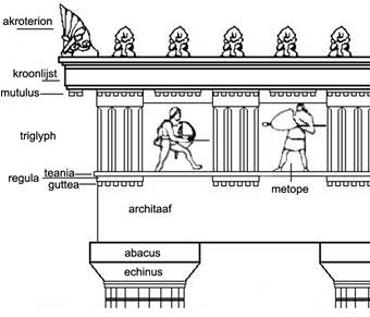 mutulus